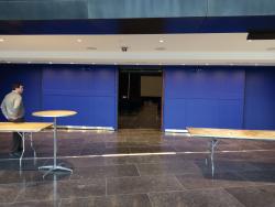 Boston University Double Leaf Acoustic Sliding Door STC53